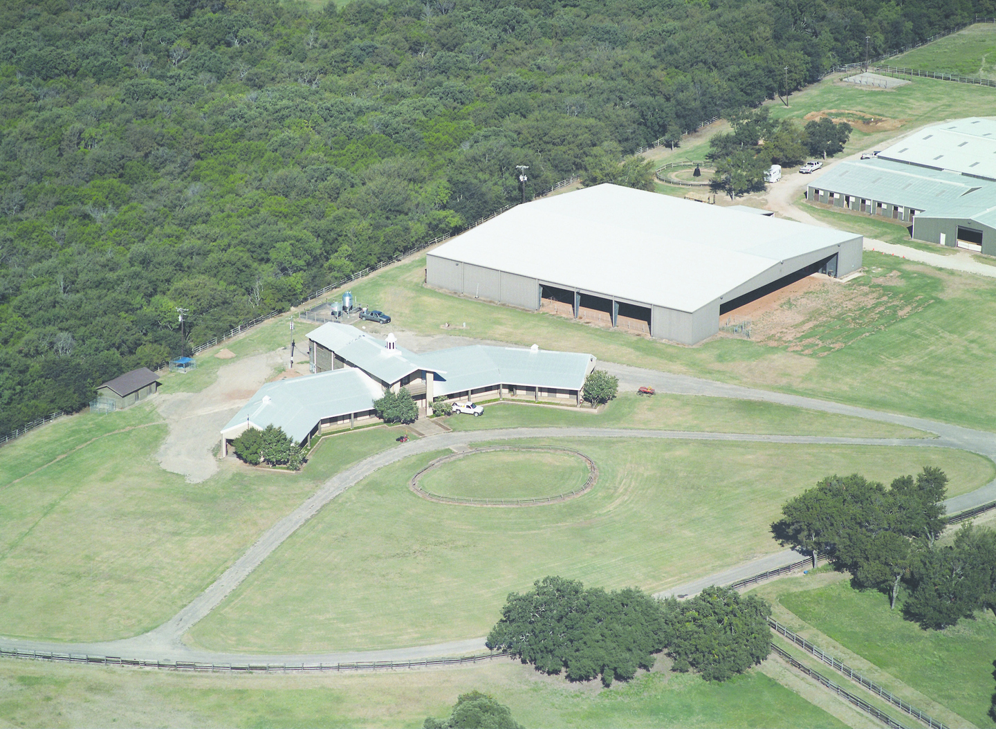 Equine Education